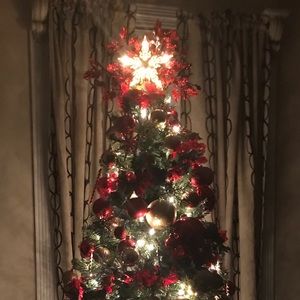 Meet your Posher, Lisandra